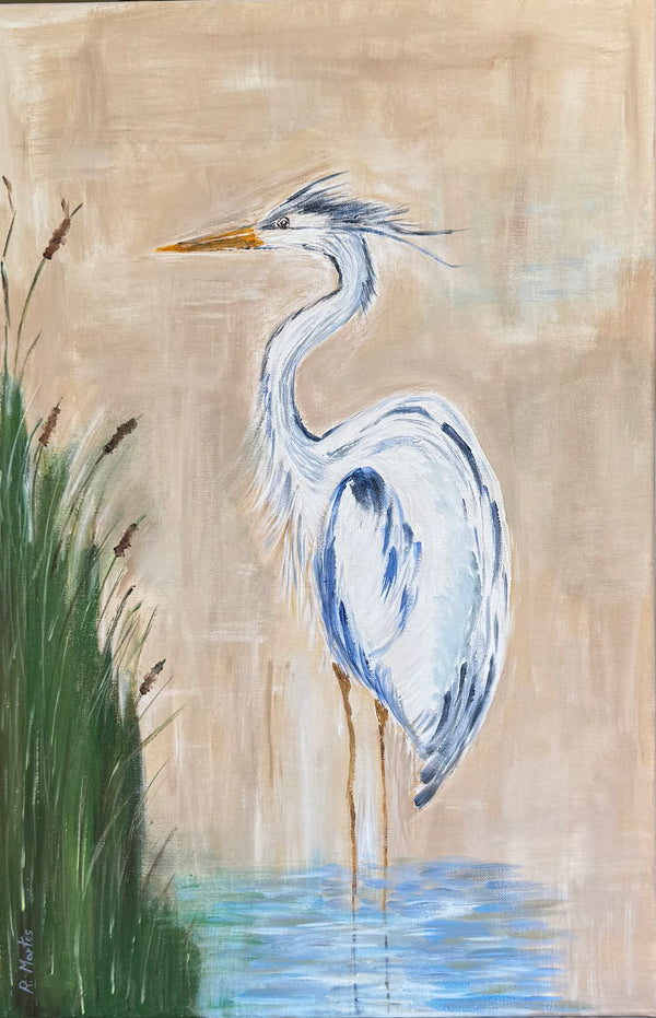 Grey Heron