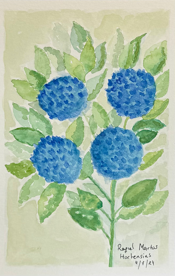 Hydrangeas