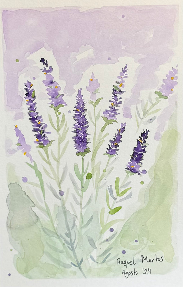Lavender