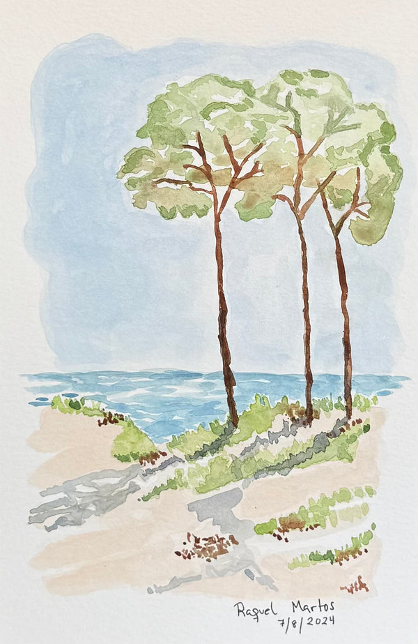 Mediterranean Pines