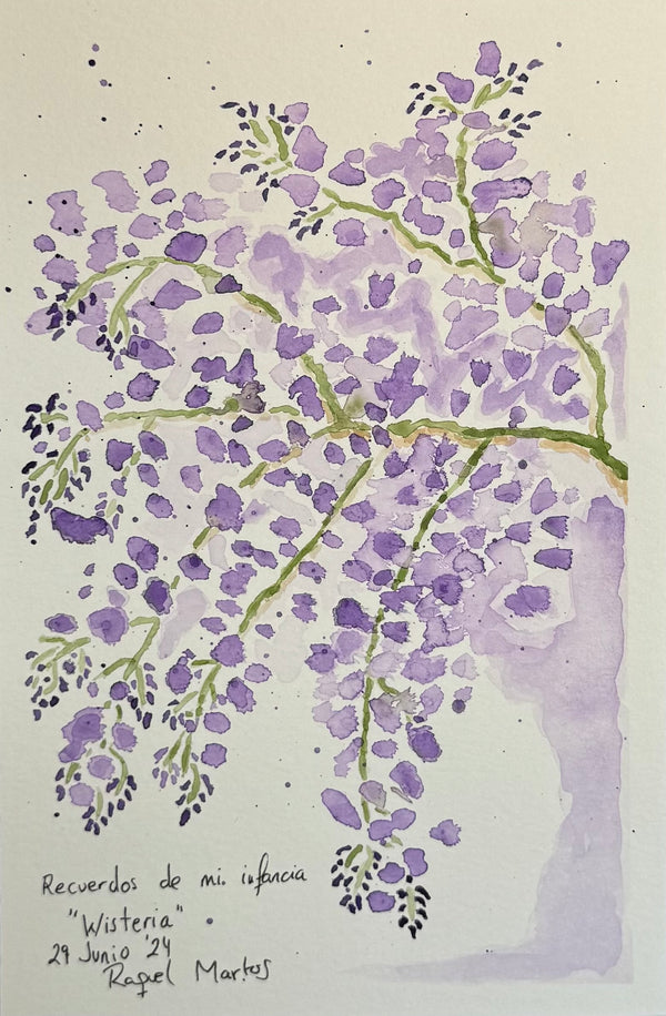 Wisteria